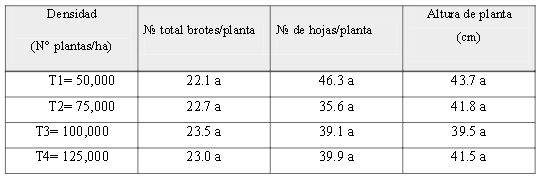 Efecto de los tratamientos en el crecimiento del kion var. ‘Criollo’ en la localidad de Zotarari, Pichanaki, Chanchamayo, selva central del Perú