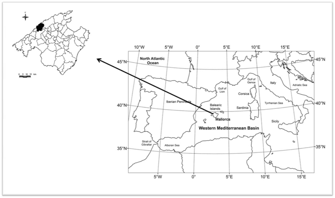 Localización de la zona de
estudio en Mallorca y de las Baleares en el Mediterráneo. 