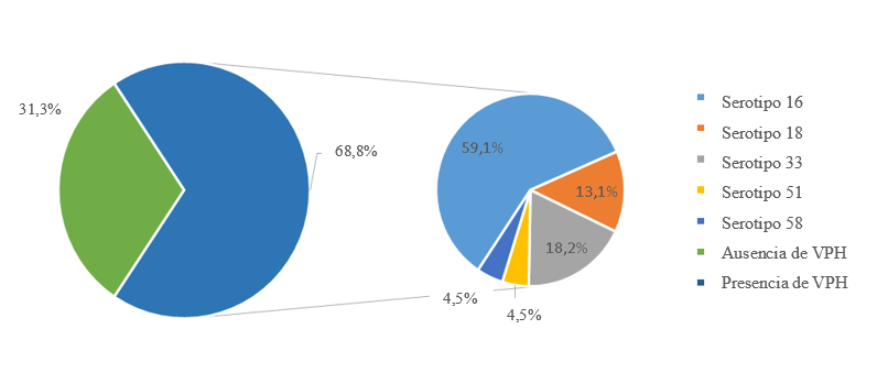 Distribución de frecuencia de acuerdo a
la presencia o ausencia de VPH mediante la técnica de PCR.