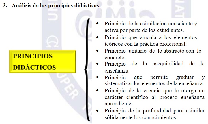 2.Análisis de los principios didácticos: