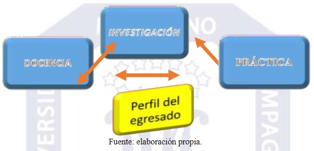 Esquema diagramático de los tres componentes principales en función del perfil del egresado