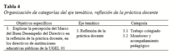 Organización de categorías del eje temático, reflexión de la práctica docente
