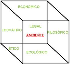Interdisciplinariedad del saber ambiental