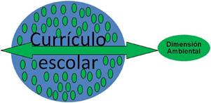 La Dimensión Ambiental con enfoque transversal en el currículo