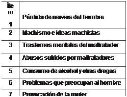 Causas de violencia en parejas