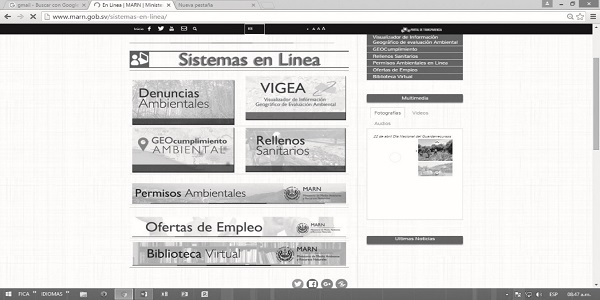 Sitio web del Ministerio de Medio Ambiente y Recursos Naturales, sistemas en línea