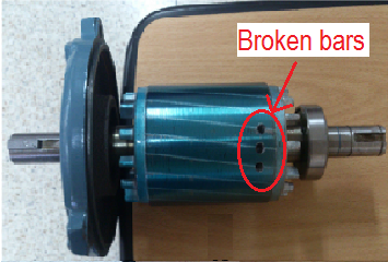 Broken bar damage induced to the motor