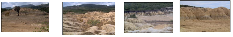 Presencia del paisaje erosivo presente en la región árida y semiárida.