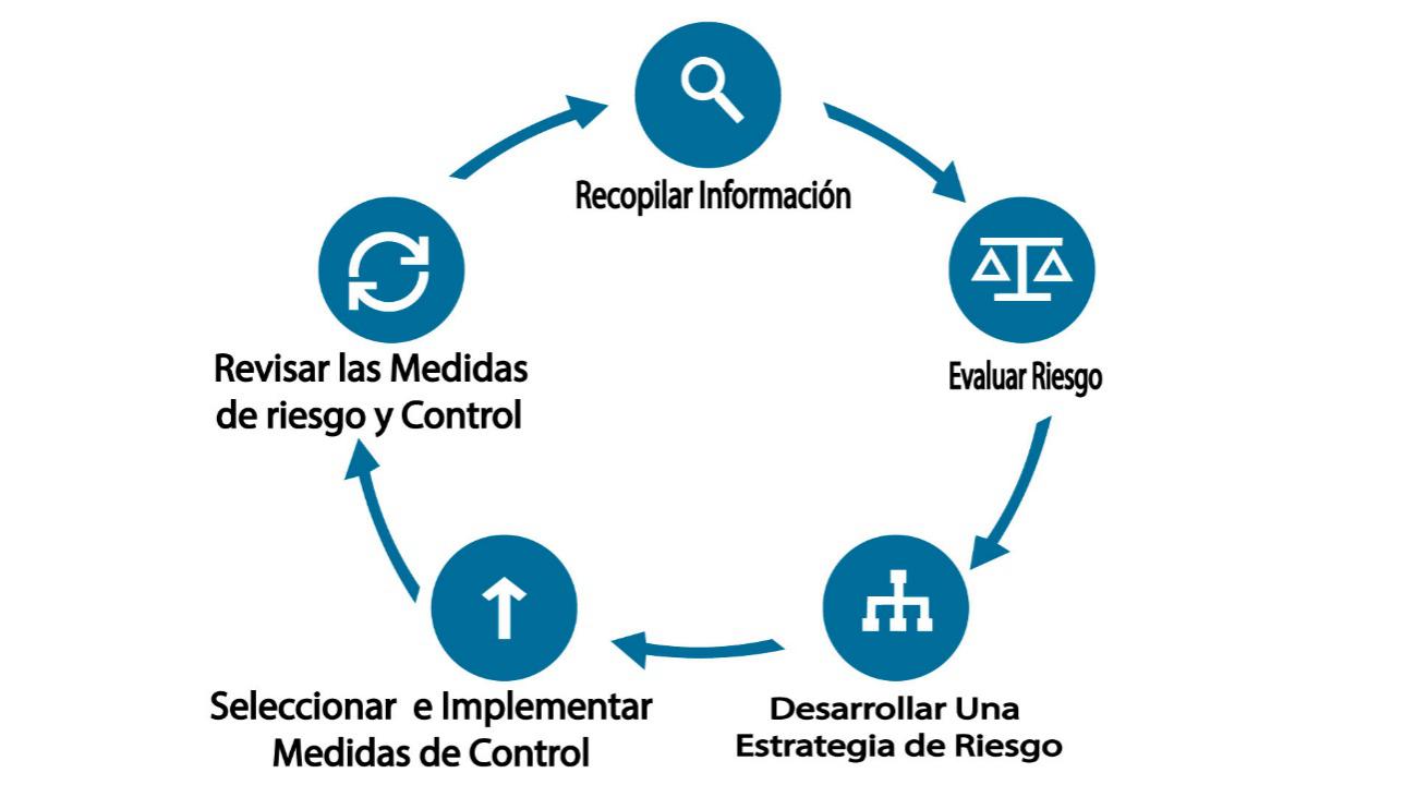 Marco
de referencia de la Evaluación de riesgo. Fuente: Laboratory Biosafety Guidance,
WHO, march 2020.