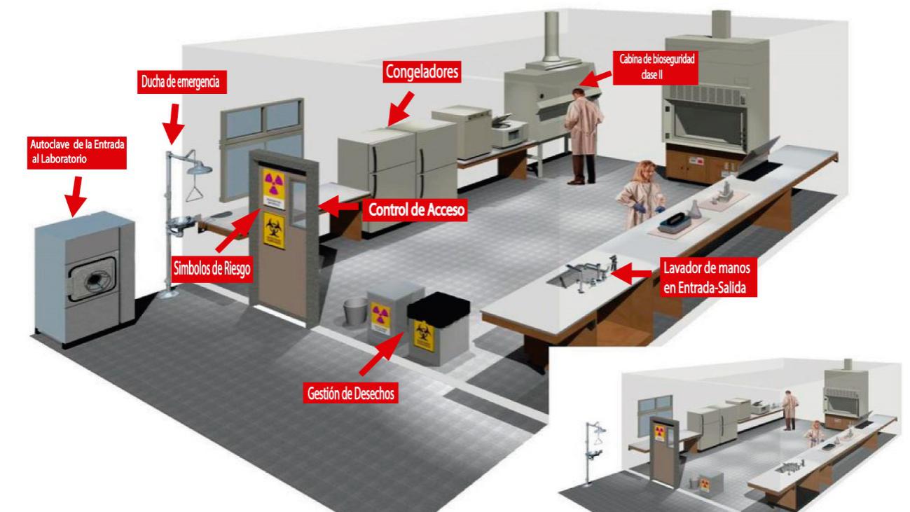 Laboratorio
de Bioseguridad Nivel 2. Fuente:
Laboratory biosafety manual Third edition-World Health
Organization, Geneva, 2004.