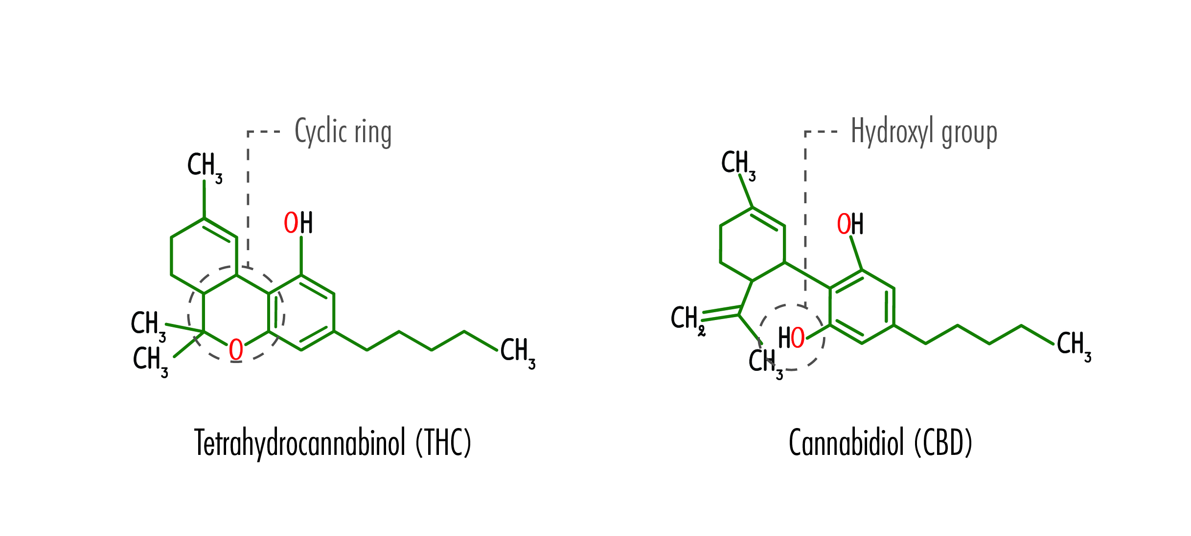 Fórmula structural de Tetrahydrocannabinol
(THC) y Cannabidiol (CBD). (Fuente: Analytical
Cannabis)[13]