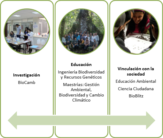 El BioCamb integra, junto a la Facultad de Ciencias del Medio Ambiente las tres
funciones sustantivas del modelo educativo de la Universidad Tecnol&oacute;gica
Indoam&eacute;rica.