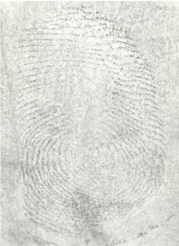 Huella falsa estampada en vidrio y revelada con polvo vulcano.