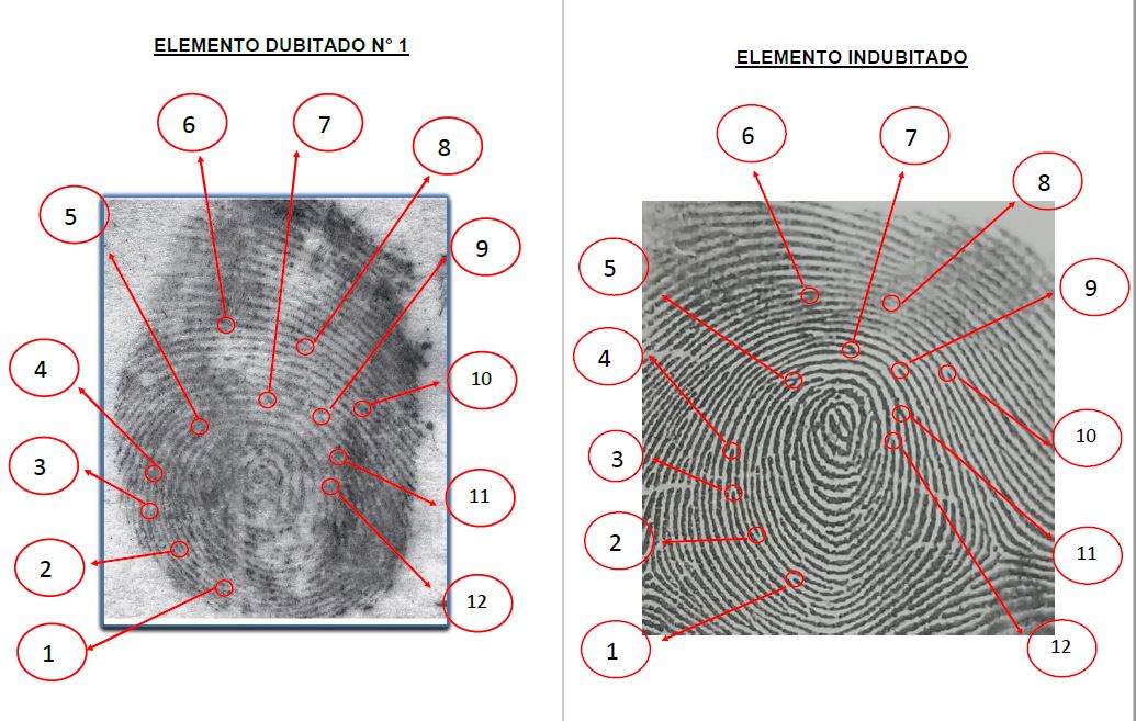 Puntos caracter&iacute;sticos de las huellas (A) Elemento dubitado y (B) Elemento indubitado.
