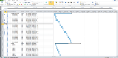Nueva Programación de Obra. Diagrama de Gantt en Microsoft Project (Elaboración propia).