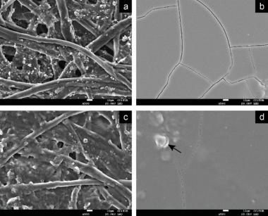 Imágenes obtenidas con el microscopio electrónico de barrido. Las imágenes (a), (b) corresponden a la tinta sin NTC sobre cartulina (a) y sobre papel fotográfico (b). Las imágenes (c), (d) corresponden a la tinta con 1% en peso de NTC sobre cartulina (c) y sobre papel fotográfico (d).