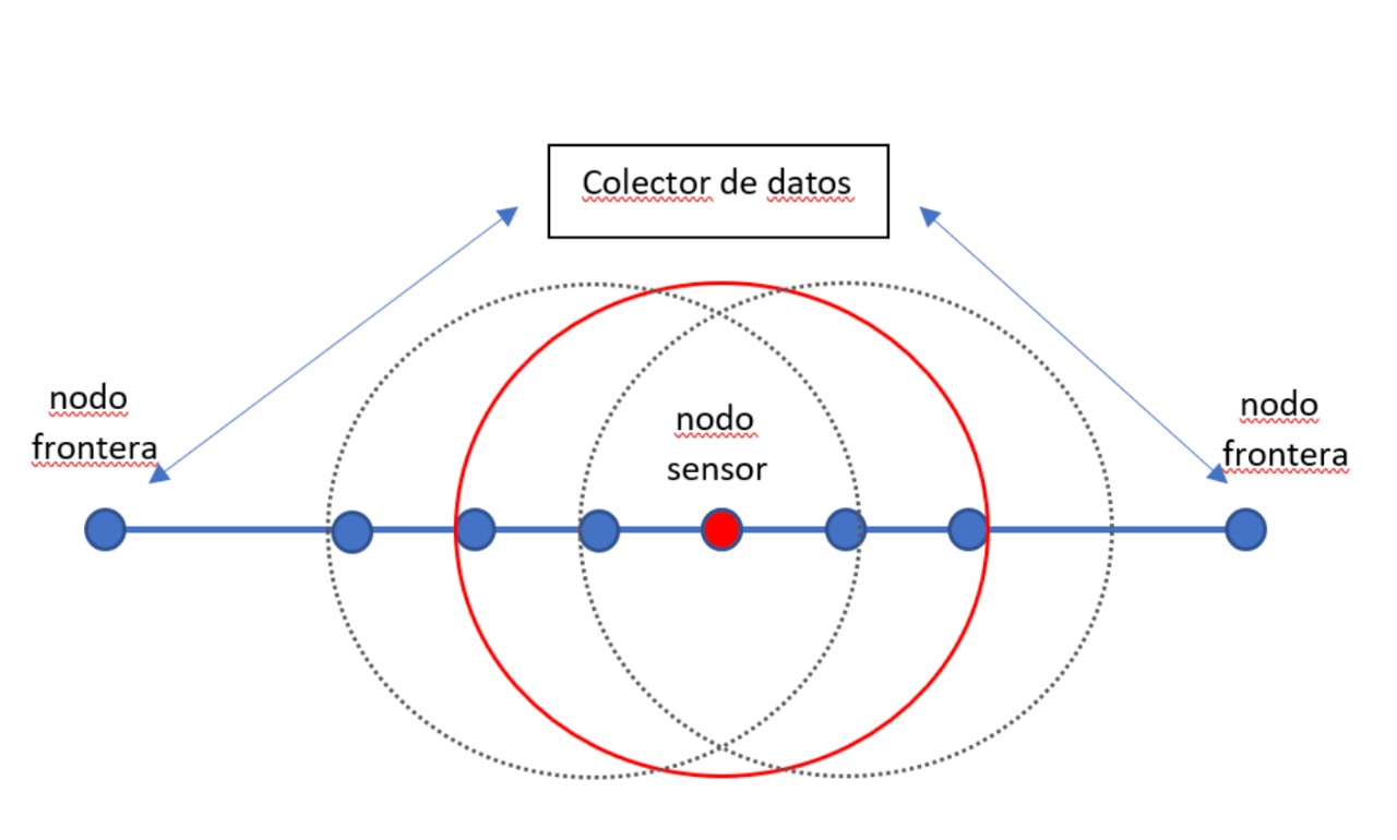 Topología Lineal.