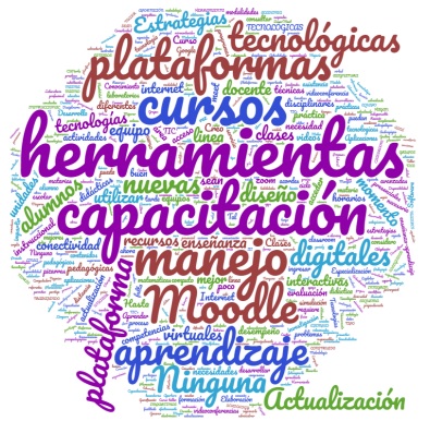 Necesidades
de capacitación docente.