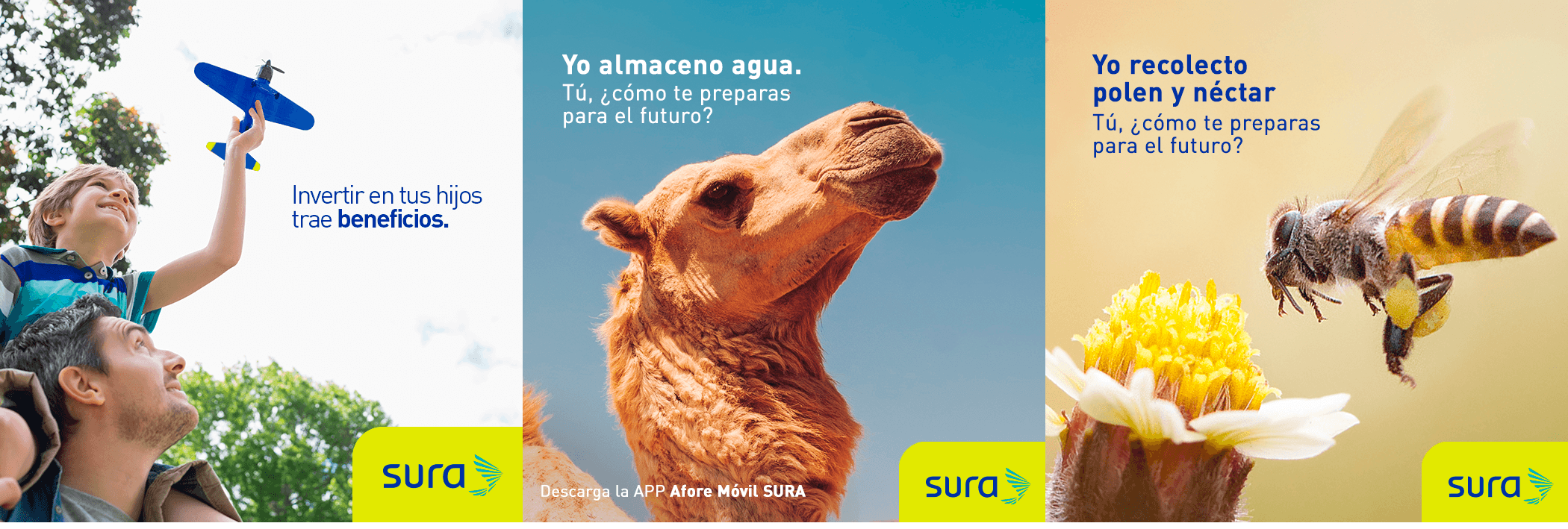 Publicidad de sura