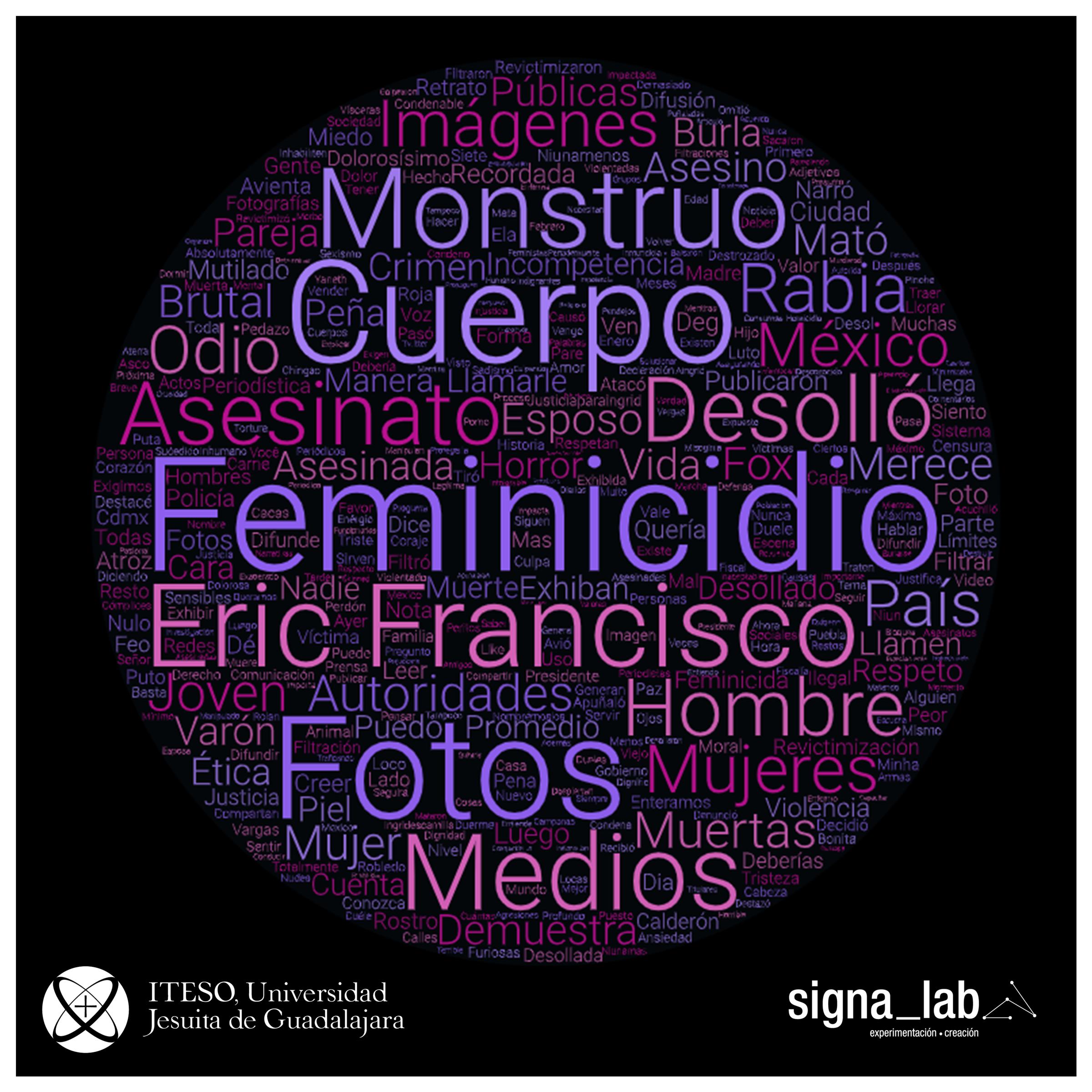 Análisis semántico y visualización con nube de las palabras más usadas vinculadas al feminicidio de Ingrid.