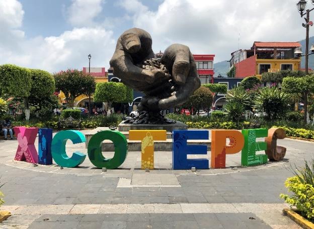 Café de Xicotepec, Puebla. Fotografía de Julio C. Castro S.