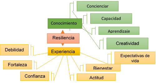 Reducción de conceptos a
categorías: Entramado semántica Resiliencia: Conocimiento Experiencial