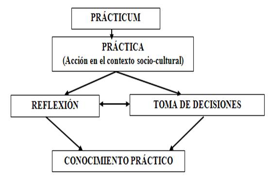 La profesión docente de
educación física.