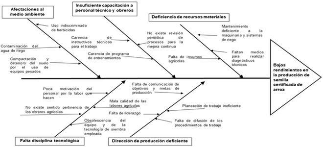 Diagrama causa-efecto de los factores que provocan
los bajos rendimientos en la producción de semilla de arroz