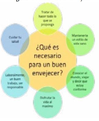 Figura 4. Para un buen envejecer 