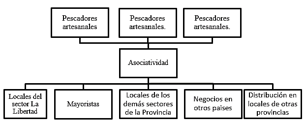 Canal de distribuci&oacute;n