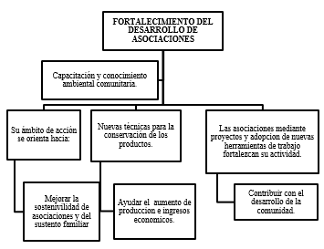 Fortalecimiento del desarrollo de asociaciones