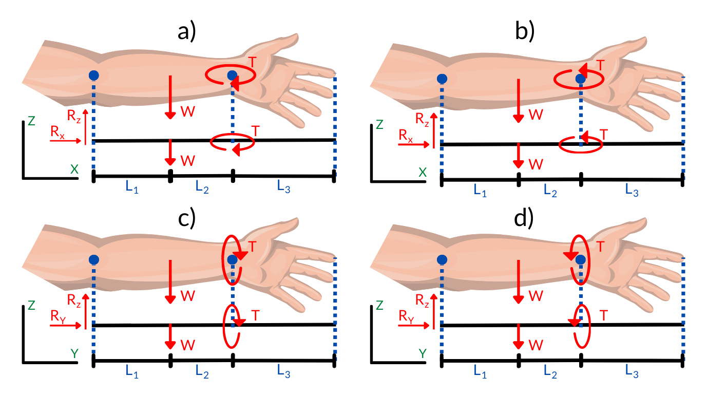 Figura 1.
Distribución de cargas en: a) Flexión, b) Extensión, c) Abducción, d)
Aducción. 