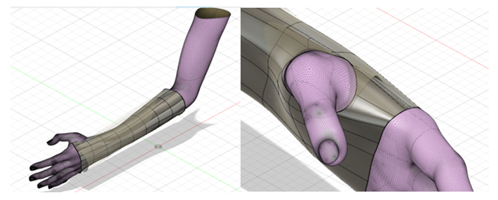     Figura
2. Adaptación geométrica al antebrazo. 