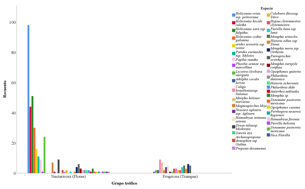 Distribución
de las especies de mariposas capturadas en el CeTAF
en función del grupo trófico.