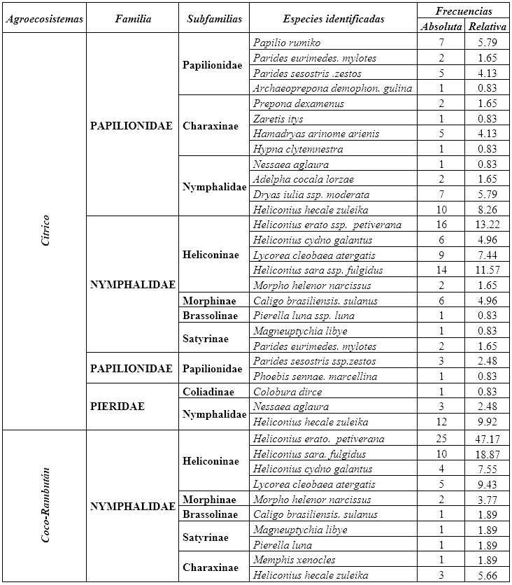 Distribución taxonómica de las mariposas diurnas presentes en los
agroecosistemas del CeTAF.