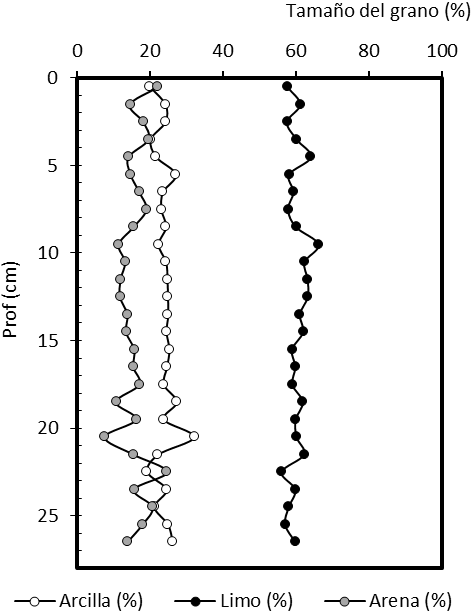 Composición de la granulometría en función de
la profundidad del perfil de sedimento de Buttonwood (NIC-II).