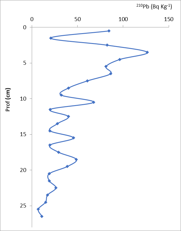 Variaciones del 210Pbtot
vs profundidad del perfil de sedimento de Buttonwood (NIC II).