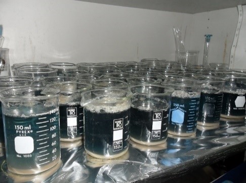Sedimentación de muestra