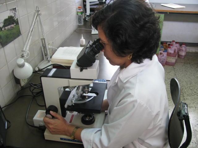  Identificación de taxa 