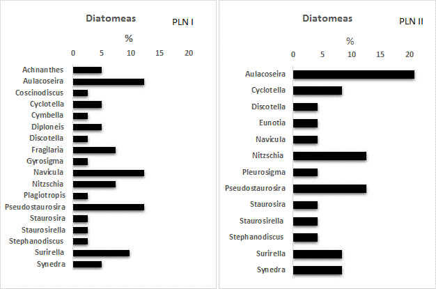 
Géneros de diatomeas más representativos en los sitios PLN I y PLN II.