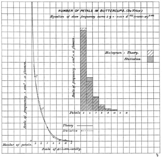 Theory and observation frequency curve of number of petals in buttercups