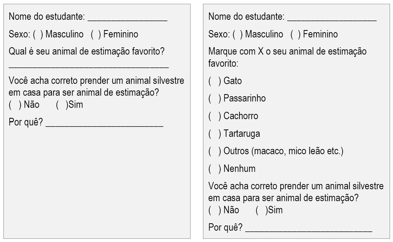 Figura 2:Exemplos da construção do instrumento de coleta de dados 