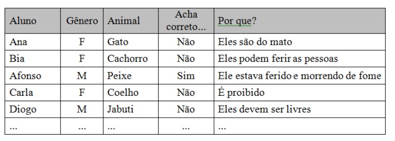 Figura 3: Exemplo fictício com a pergunta aberta