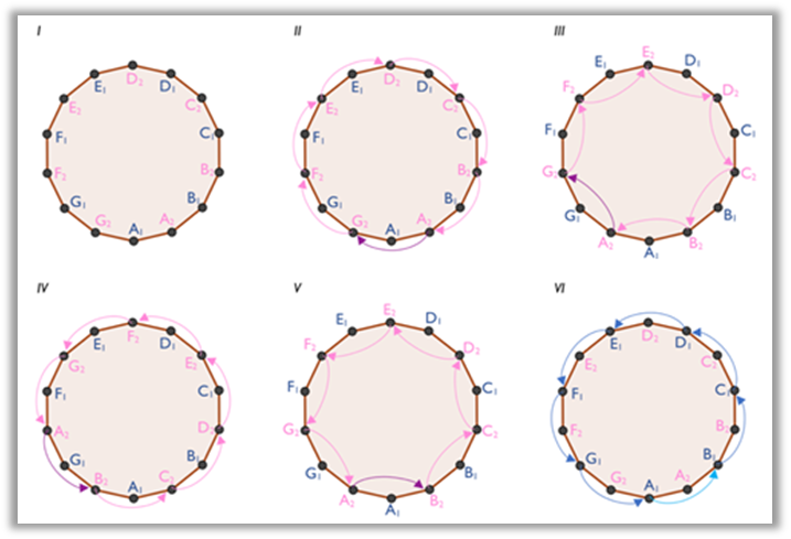 Diagrams of the analysis of the dance Regadinho