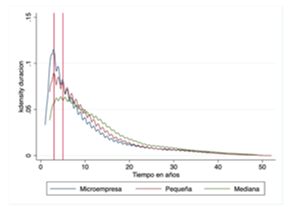  Densidad de Kernel de Antig&uuml;edad por tama&ntilde;o.