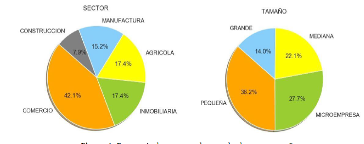 Porcentaje de empresas de acuerdo al sector y tamaño.