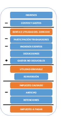 Estructura de la información del Formulario 101.