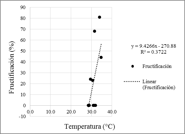 Correlación de fruto y temperatura T. rosea.