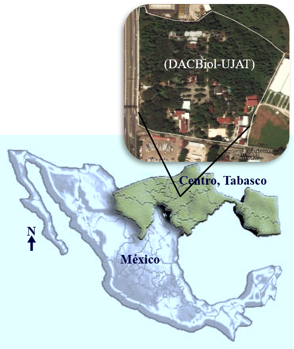 Área de estudio (DACBiol-UJAT).