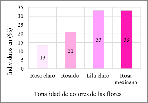 Primer
periodo de floración